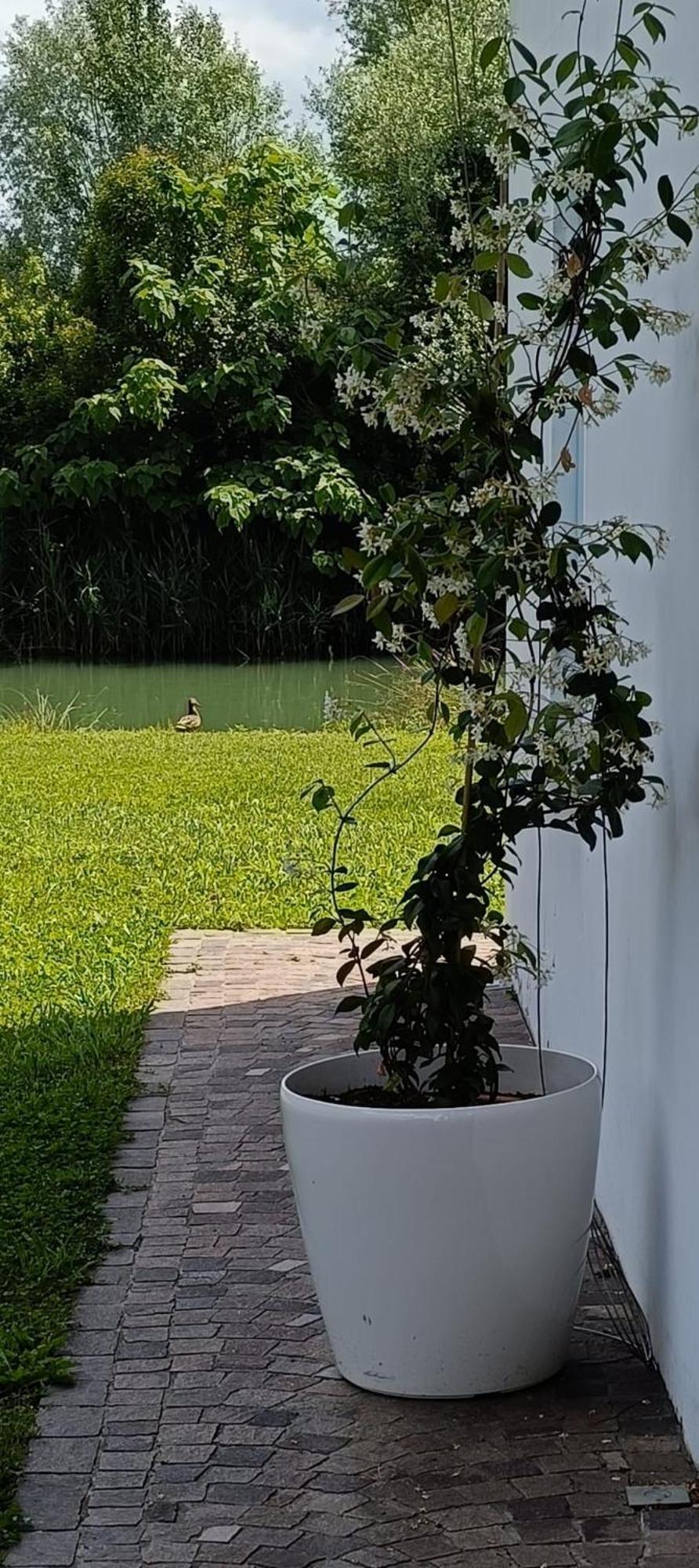 Locazione Riv'Al Sile Quinto Di Treviso Exterior foto